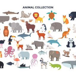 Origin Murals Animal Collection Multicolour Wall Mural - thumbnail 2