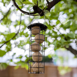 Marco Paul Premium Hammertone Bird Fat Ball Feeder - thumbnail 2