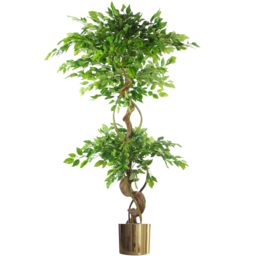 Leaf Japanese Fruticosa Ficus Artificial Tree in Gold Planter 5ft - thumbnail 1
