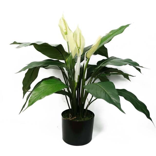 Leaf Artificial White Spathiphyllum Peace Lily in Pot - image 1