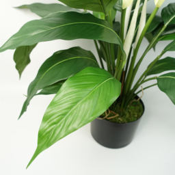 Leaf Artificial White Spathiphyllum Peace Lily in Pot - thumbnail 3