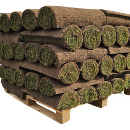 Inturf Classic Turf Roll 60sqm - thumbnail 1