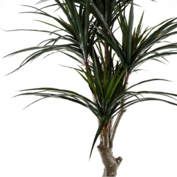 Leaf UV Resistant Yucca Artificial Tree 120cm - thumbnail 2