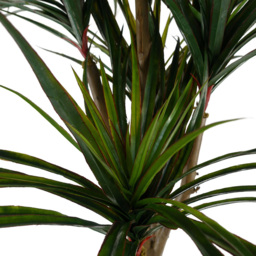 Leaf UV Resistant Yucca Artificial Tree 120cm - thumbnail 4