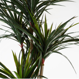 Leaf UV Resistant Yucca Artificial Tree 120cm - thumbnail 3