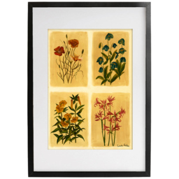 Laura Ashley Antique Flowers Black Frame Wall Art 40 x 50cm - thumbnail 1