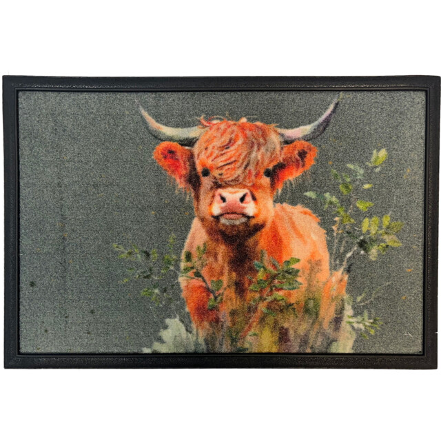 Black 40 x 60cm Super Absorbent Welcome Doormat