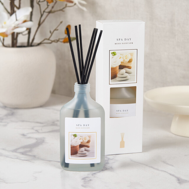 Spa Day Reed Diffuser - image 1