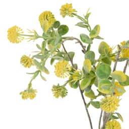 Floss Flower Spray - thumbnail 3