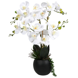 Single Orchid Artificial Plant in Pot with Succulent 58cm in Assorted styles