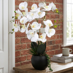 Single Orchid Artificial Plant in Pot with Succulent 58cm in Assorted styles - thumbnail 4