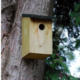 Marco Paul Bird Nesting Box 2 Pack - thumbnail 2