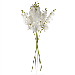 Leaf Single Stem White Phalaenopsis Orchid 100cm 6 Pack - thumbnail 1