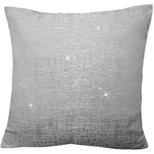 Intimates Sasha Silver Filled Cushion 43 x 43cm 2 Pack - image 1