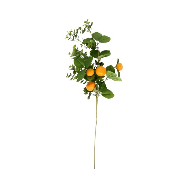 Orange Spray - image 1