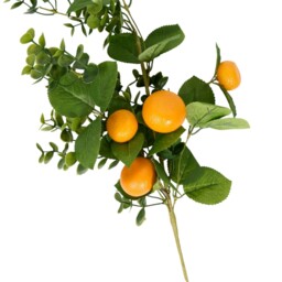 Orange Spray - thumbnail 3