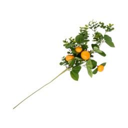 Orange Spray - thumbnail 2