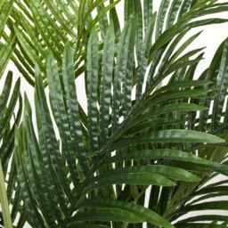 GreenBrokers Artificial Phoenix Palm Tree 115cm - thumbnail 3