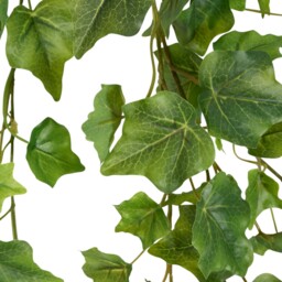 Artificial Hanging Ivy Green - thumbnail 2