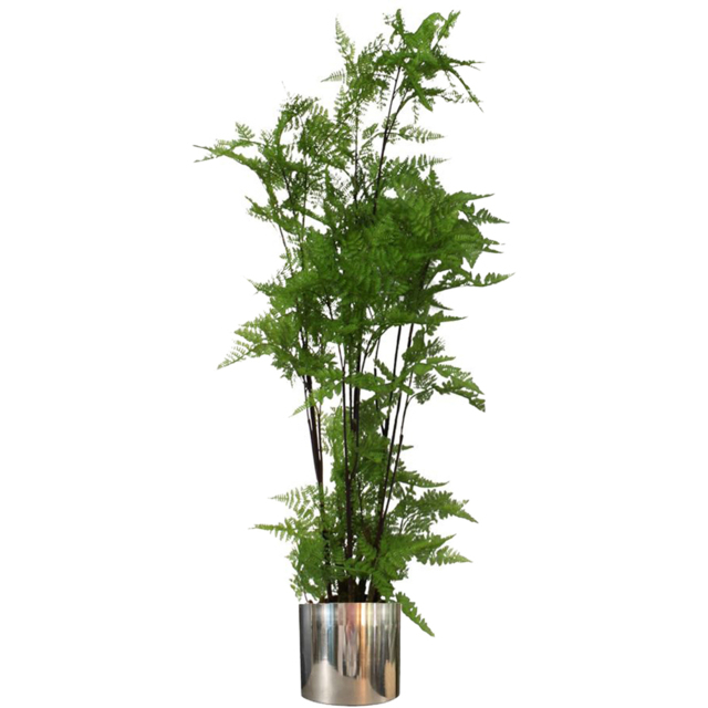 Leaf Extra Large Moss Base Fern Foliage Artificial Plant with Silver Metal Planter 150cm - image 1