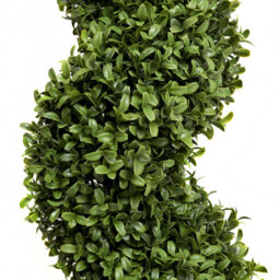 GreenBrokers Artificial Spiral Boxwood Topiary Tree 120cm 2 Pack - thumbnail 3