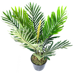 Best Artificial Areca Palm Tree in Pot 2ft - thumbnail 2