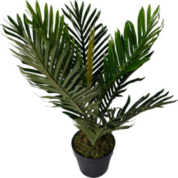 Best Artificial Areca Palm Tree in Pot 2ft - thumbnail 3
