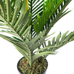Best Artificial Areca Palm Tree in Pot 2ft - thumbnail 4