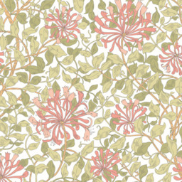 Origin Murals Honeysuckle Pink Wall Mural - thumbnail 2