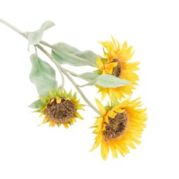 Sunflower Spray Yellow - thumbnail 4