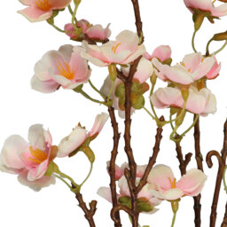 Single Cherry Blossom Single Stem Artificial Flower 100cm in Assorted styles - thumbnail 2