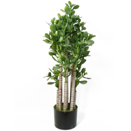 Leaf Green Jade Artificial Plant 75cm - thumbnail 1