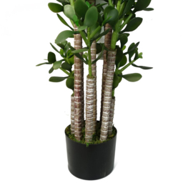 Leaf Green Jade Artificial Plant 75cm - thumbnail 2