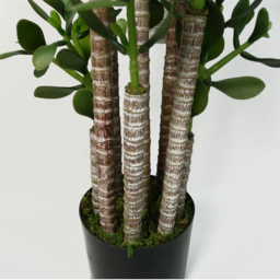 Leaf Green Jade Artificial Plant 75cm - thumbnail 3