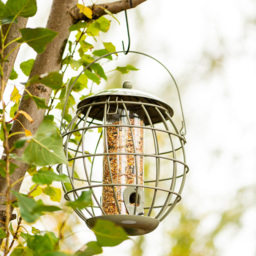 Thompson and Morgan Happy Beaks Orbital Squirrel Proof Seed Feeder - thumbnail 4