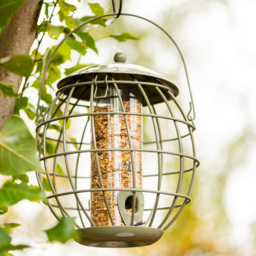 Thompson and Morgan Happy Beaks Orbital Squirrel Proof Seed Feeder - thumbnail 3