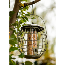 Thompson and Morgan Happy Beaks Orbital Squirrel Proof Seed Feeder - thumbnail 2