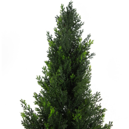 Leaf Topiary Cedar Cypress Artificial Tree in Pot 120cm - thumbnail 2