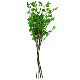 Leaf Single Stem Mini Ficus Foliage Spray Artificial Leaf 100cm 6 Pack - thumbnail 1