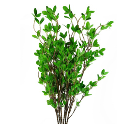 Leaf Single Stem Mini Ficus Foliage Spray Artificial Leaf 100cm 6 Pack - thumbnail 2
