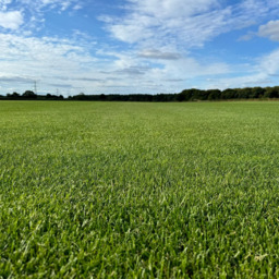 Inturf Classic Turf Roll 20sqm - thumbnail 4