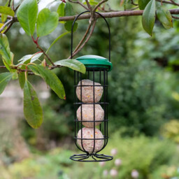 Peckish Energy Ball Feeder - thumbnail 4