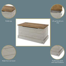 Corona Grey Washed Wax Finish Storage Trunk - thumbnail 4