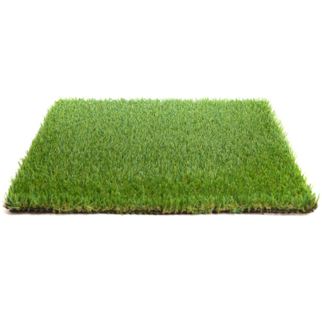 20mm Grass 1mx6m (3.3ft x 19.6ft) - 6m² - image 1