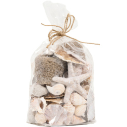 Decorative Shells in Net Bag Natural - thumbnail 2