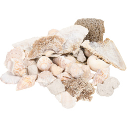 Decorative Shells in Net Bag Natural - thumbnail 3