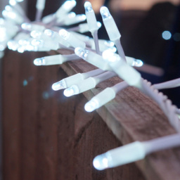 Eagle Connect White Cable 250 Cool White LED Cluster Light 5m - thumbnail 3