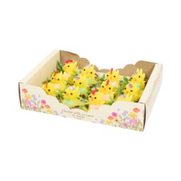 Chick With Crown Nest Multipack - thumbnail 1