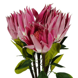 Leaf Single Stem Pink Protea Sugarbush Artificial Flower 65cm 6 Pack