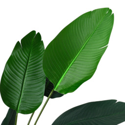 Living and Home Banana Tree Artificial Plant in Pot 180cm - thumbnail 4